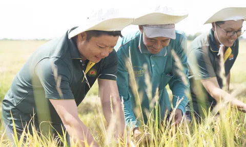 Lộc Trời đồng hành cùng chính quyền địa phương hai cấp, kiến tạo nền nông nghiệp xanh