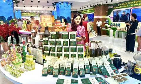 Quảng Trị xây dựng điểm giới thiệu và bán sản phẩm OCOP