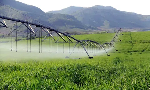 Nghệ An phát triển nông nghiệp ứng dụng công nghệ cao dọc hành lang kinh tế đường Hồ Chí Minh