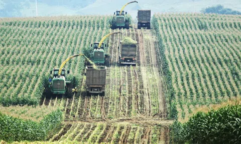 Nghệ An ưu tiên thu hút những dự án tăng trưởng xanh và chuyển đổi số trong năm 2026