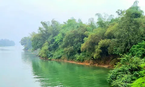 "Tre chống lũ" Dự án giúp giảm nhẹ thiên tai và thích ứng với biến đổi khí hậu cho miền Tây xứ Nghệ