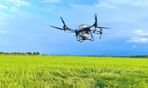 Tỉnh Quảng Trị xác định nông nghiệp xanh là một trong bốn trục tăng trưởng trong năm 2026