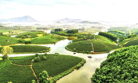 Nghệ An quyết tâm thực hiện thắng lợi các chỉ tiêu, nhiệm vụ trong năm 2026