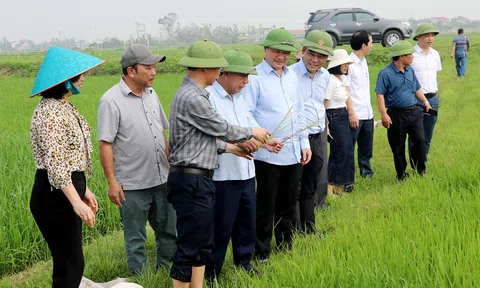 Nghệ An thành lập Tổ công tác để hiện thực hoá mục tiêu tăng trưởng sản phẩm nông nghiệp