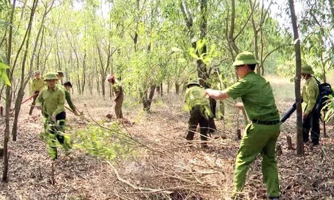 Tỉnh Quảng Trị yêu cầu túc trực 24/24 giờ để phòng chống cháy rừng