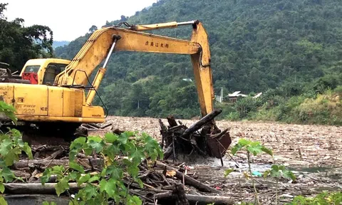 Rác gỗ "bủa vây" lòng hồ thuỷ điện Bản Vẽ