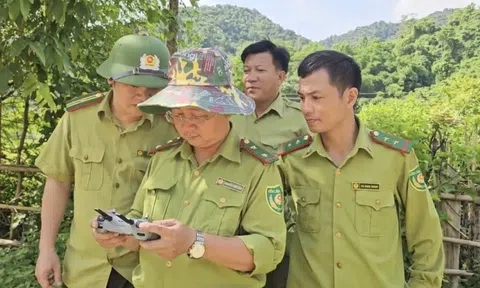 Công nghệ số "cánh tay đắc lực" trong quản lý, bảo vệ rừng