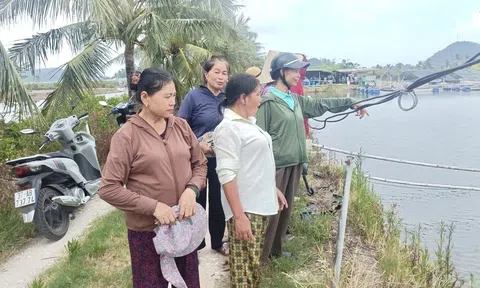 Xã Đông Lộc tập huấn kỹ năng sản xuất cho nông dân