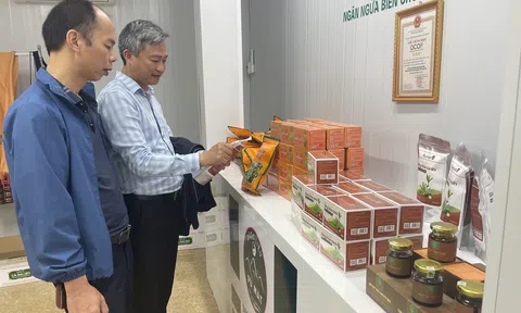 Các sản phẩm OCOP của tỉnh Nghệ An đứng trước cơ hội vươn tầm quốc tế