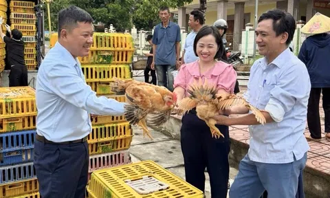 Chương trình Mục tiêu Quốc gia: Trao con giống để tạo sinh kế giúp người dân thoát nghèo bền vững