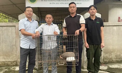 Phường Vinh Lộc tiếp nhận, bàn giao động vật quý hiếm cho Vườn Quốc gia Pù Mát