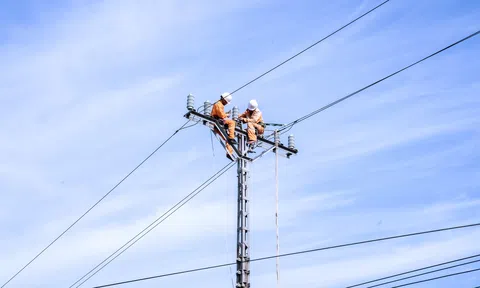 Công ty Điện lực Nghệ An sẵn sàng đảm bảo cung ứng điện cho dịp lễ Quốc khánh 2/9