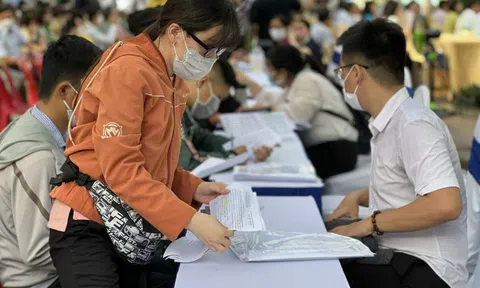 Trợ cấp thất nghiệp từ năm 2026 được quản lý chặt chẽ và minh bạch hơn theo Luật Việc làm 2025