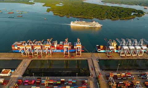 TP HCM định hình mạng lưới khu thương mại tự do từ hạt nhân Cái Mép Hạ