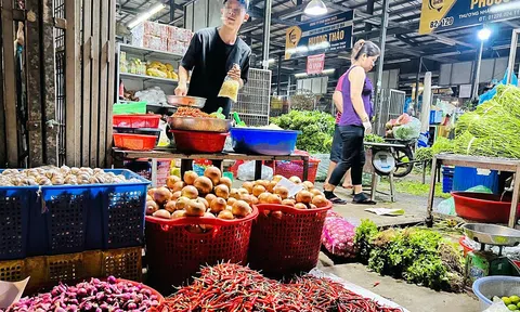 Ớt Việt tăng tốc xuất khẩu, trở thành trụ cột mới của ngành rau củ