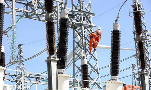 Chính phủ hoàn thiện khung 5 tiêu chí thống nhất để đánh giá và xếp loại doanh nghiệp có vốn nhà nước