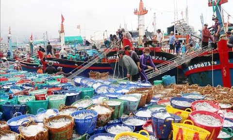 Thủy sản Việt Nam 2025: Vượt sóng thách thức, lần đầu chinh phục mốc hơn 11 tỷ USD