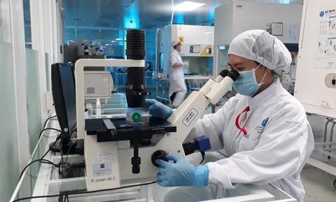 [Video] Việt Nam đặt mục tiêu xây dựng các trung tâm nghiên cứu tầm vóc quốc tế vào năm 2030