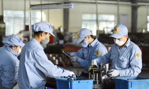 Chuẩn hóa hợp đồng lao động điện tử: Từ 1/7, mỗi hợp đồng có một mã định danh riêng