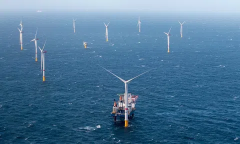 Hoàn thiện hành lang pháp lý cho khảo sát điện gió ngoài khơi trước khi chọn nhà đầu tư