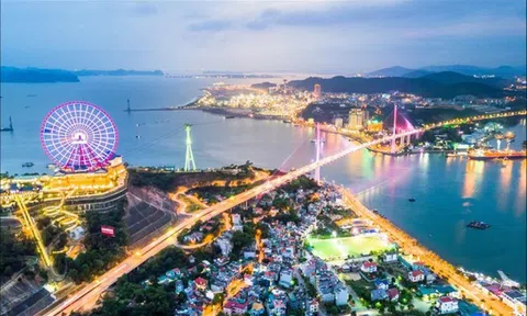 [Video] Quảng Ninh mở không gian hoa, ánh sáng dài 1 km chào Xuân Bính Ngọ 2026