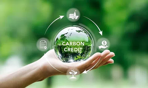 Doanh nghiệp giao dịch tín chỉ carbon thông qua tài khoản chứng khoán