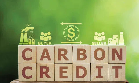 Việt Nam hoàn thiện hành lang pháp lý cho thị trường carbon nội địa