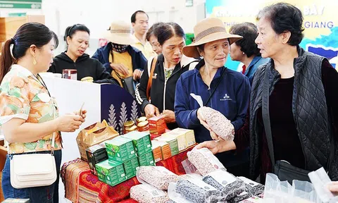 [Video] Kê khai từ năm 2026, hộ kinh doanh không bị truy thu thuế những năm trước