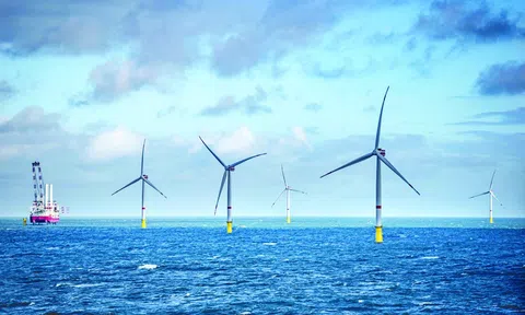 Mở không gian biển cho điện gió ngoài khơi: EVN và PVN được giao khảo sát quy mô lớn