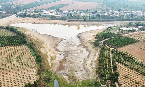 Tây Nguyên đối mặt bài toán thích ứng khi khí hậu ngày càng khắc nghiệt