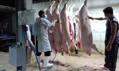 [Video] Kiểm soát giết mổ còn bất cập, an toàn thực phẩm tiếp tục là vấn đề đáng lo