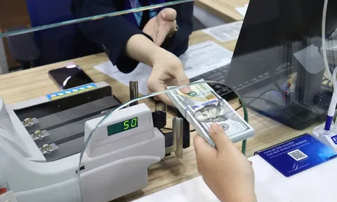 Kiều hối về TP. Hồ Chí Minh tăng trưởng ổn định, vượt mốc 10 tỷ USD năm 2025