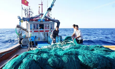 Phân cấp thẩm quyền trong quản lý biển, hải đảo nhằm nâng cao hiệu quả điều hành