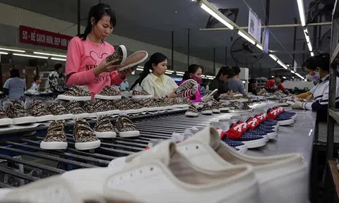 Da giày Việt Nam giữ nhịp tăng trưởng xuất khẩu, doanh nghiệp nội từng bước mở rộng vị thế