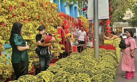 Nghỉ Tết Nguyên đán Bính Ngọ 2026 được ấn định 9 ngày liên tiếp