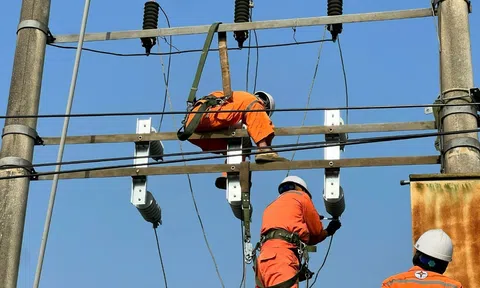 Bảo đảm dòng điện thông suốt dịp Tết Bính Ngọ 2026