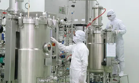 Xây dựng lộ trình thực thi Luật Chuyển giao công nghệ sửa đổi, bảo đảm đồng bộ pháp lý