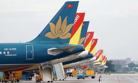Đề xuất tăng tỷ lệ vốn ngoại trong hãng hàng không Việt Nam lên mức 49%