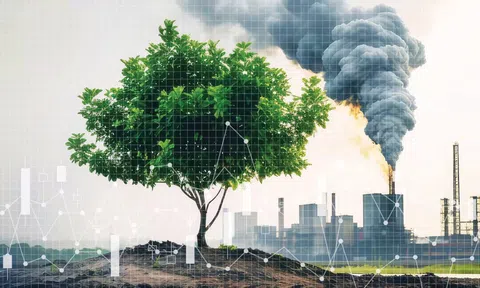 Thiết lập “mã định danh” quốc gia cho hạn ngạch phát thải và tín chỉ carbon