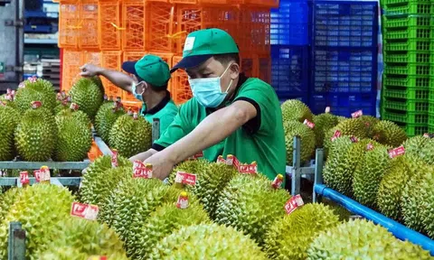 Xuất khẩu rau quả bứt tốc đầu năm, hướng tới mốc 10 tỷ USD