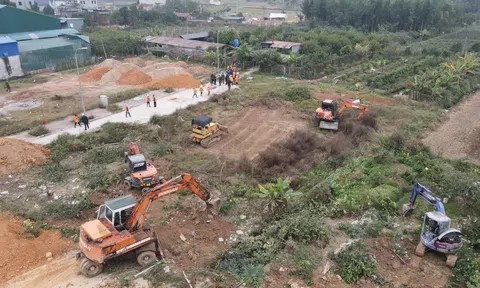 Kích hoạt đường dây nóng nhằm giám sát sai phạm đất đai trên toàn quốc