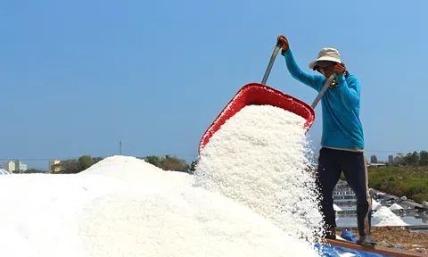 Doanh nghiệp muối đẩy mạnh công nghệ, tìm đường vào thị trường quốc tế