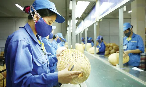 SME khởi động chuyển đổi xanh bằng cách tối ưu vận hành và nền tảng số miễn phí