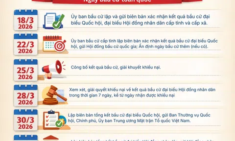 [Infographic] Những mốc thời gian quan trọng sau ngày bầu cử Quốc hội và HĐND nhiệm kỳ 2026-2031
