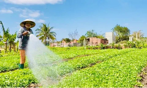 Tăng hỗ trợ từ ngân sách để khuyến khích nông dân tham gia bảo hiểm nông nghiệp