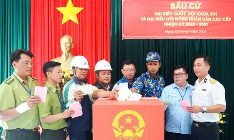 Hơn 71 triệu cử tri đã bỏ phiếu, 5 tỉnh đạt tỷ lệ gần 100%