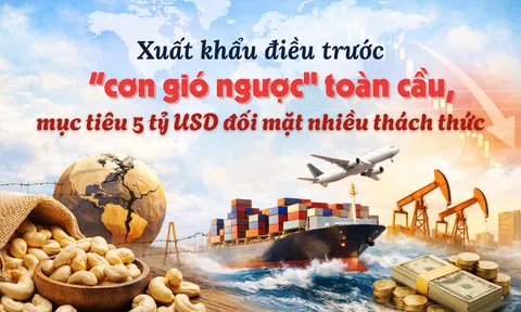 [eMagazine] Xuất khẩu điều trước “cơn gió ngược” toàn cầu, mục tiêu 5 tỷ USD đối mặt nhiều thách thức