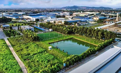 TP.HCM hướng dòng kiều hối vào công nghệ, đặt mục tiêu nghìn tỷ cho tăng trưởng xanh