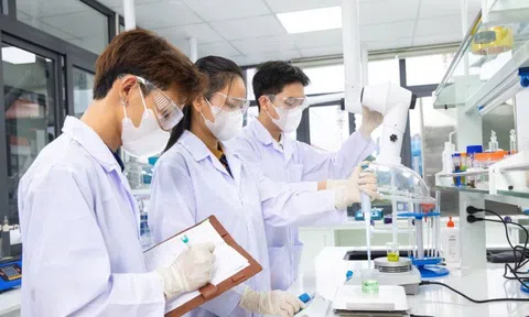 TP.HCM hướng dòng kiều hối vào công nghệ, đặt mục tiêu nghìn tỷ vào năm 2027