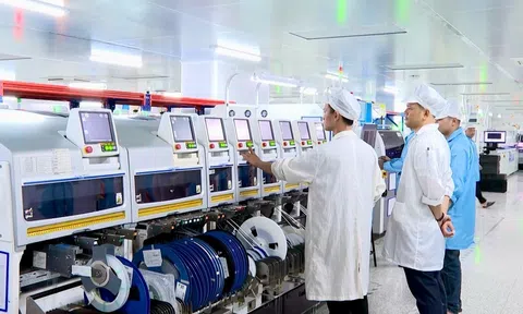 SME trước bước ngoặt số hóa: Hoàn thiện hệ sinh thái để bứt tốc cạnh tranh